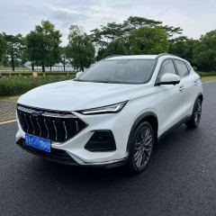 Oshan X5 1.5T Flagship Version - ფოტო 1