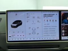 Li Auto i6 AWD Edition - photo 20