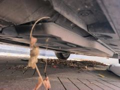 Toyota Avalon Dual-Engine 2.0L Luxury Edition - фото 11