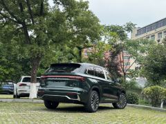 Geely Xingyue L Dongfang Yao 2.0T Automatic two-wheel drive Star Edition - photo 20