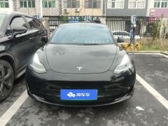Tesla Model 3 556km Rear-Wheel Drive Edition - фото 3