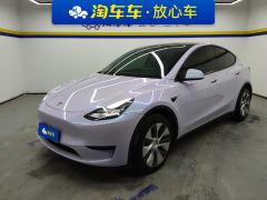 Tesla Model Y 545km Rear-Wheel Drive Edition - ფოტო 1