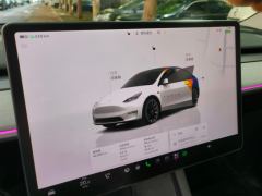 Tesla Model Y 688km Long Range AWD - ფოტო 17