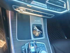 BMW X5 xDrive40Li M Sport Package - ფოტო 19