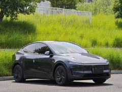 Tesla Model Y 593km Rear-Wheel Drive Edition - ფოტო 3