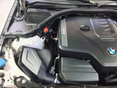 BMW 3 Series 320Li M Sport Package - photo 20