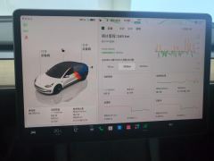 Tesla Model 3 556km Rear-Wheel Drive Edition - ფოტო 20