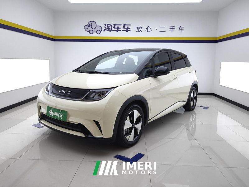 BYD Dolphin 420km Stylish Edition - ავტომობილი ჩინეთიდან