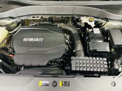 GAC GS8 2.0T AWDLuxury Edition 7 - ფოტო 17