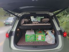 smart Elves #1 535km Rear-wheel drive Pulse Heart-throb Edition - фото 15