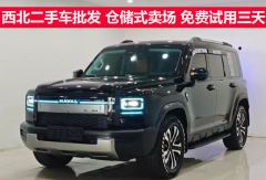 Haval PLUS 1.5T Hi4 192 Max 7 - photo 1