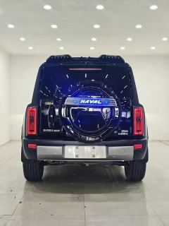Haval PLUS 1.5T Hi4 192 Max 7 - photo 5