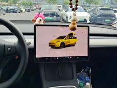 Tesla Model Y 554km Rear-Wheel Drive Edition - ფოტო 17