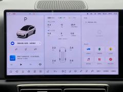 Li Auto L6 Pro - ფოტო 10