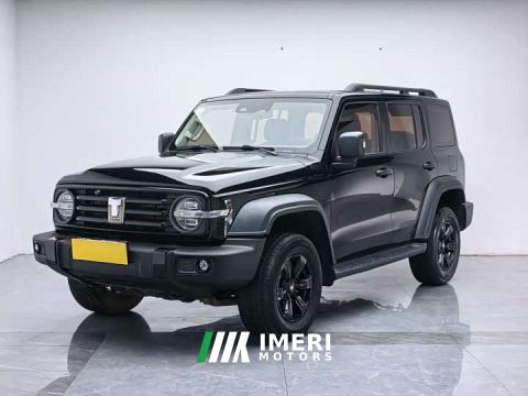 2023 Tank 300 Off-Road Edition 2.0T Challenger - ავტომობილი ჩინეთიდან