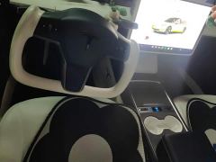Tesla Model 3 Rear-Wheel Drive - ფოტო 13