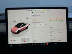 Tesla Model Y Long Range All-Wheel Drive - ფოტო 7
