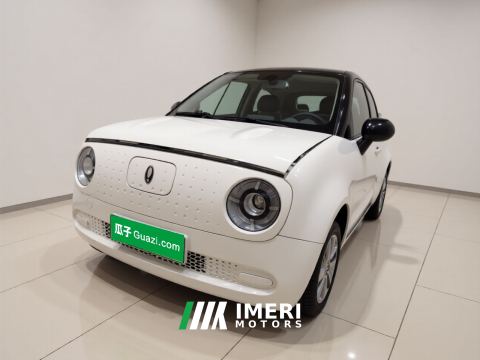 2021 Ora Black Cat Version 301km - ავტომობილი ჩინეთიდან