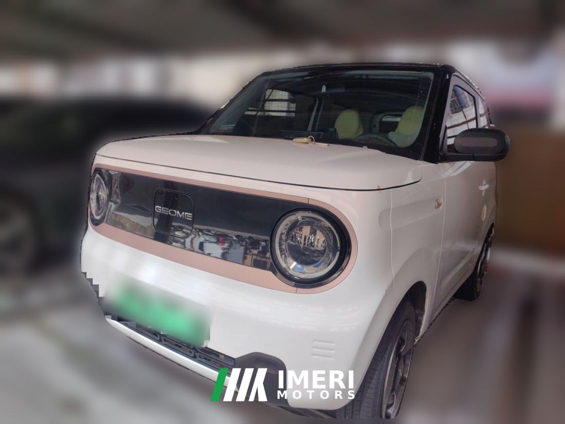 Geely Panda mini 200km Edition - ავტომობილი ჩინეთიდან