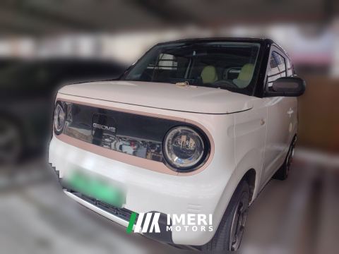 2023 Geely Panda mini 200km Edition - автомобиль из Китая