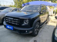 Haval Great Wall Big Dog Great Wall Dog 1.5T Two-wheel drive Labrador version - фото 1