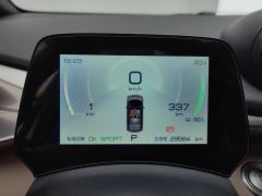 BYD Dolphin 420km Stylish Edition - ფოტო 20