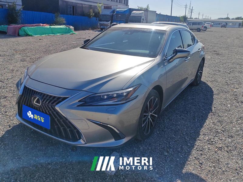 Lexus ES 300h Premium Edition - car from China