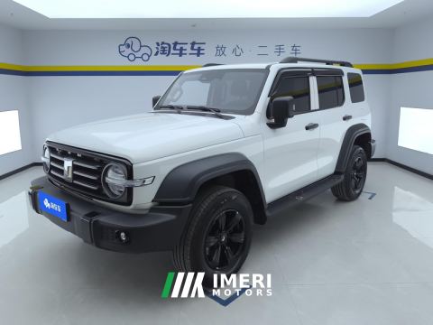 2021 Tank 300 Off-Road Edition 2.0T Challenger - ავტომობილი ჩინეთიდან