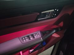 Porsche Cayenne S 2.9T Platinum Edition - ფოტო 13