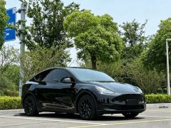Tesla Model Y 719km Long Range AWD - ფოტო 3
