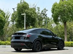 Tesla Model Y 719km Long Range AWD - ფოტო 6