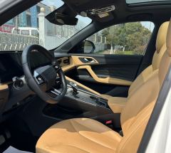 Roewe RX5 PLUS 330TGI Edition - фото 6