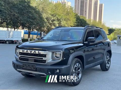 2024 Haval Great Wall Big Dog 1.5T 2WD Edition - car from China