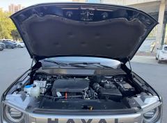 Haval Great Wall Big Dog 1.5T 2WD Labrador Edition - ფოტო 12