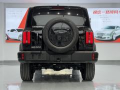 Tank 300 2.0T Conquistador Gasoline - ფოტო 11