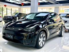 Tesla Model Y 545km Rear-Wheel Drive Edition - ფოტო 1