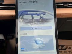 Xpeng P5 500Plus - ფოტო 10