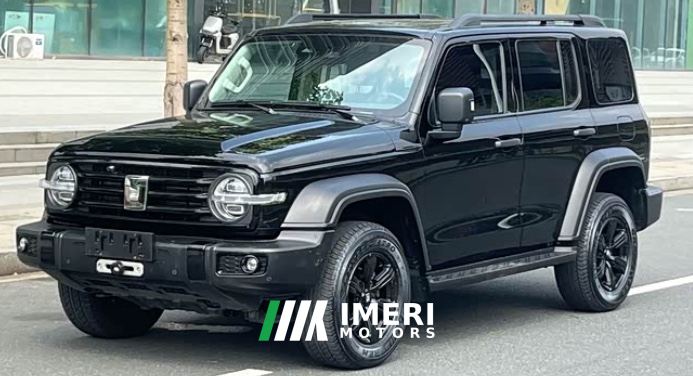 Tank 300 Off-Road Edition 2.0T Conqueror - ავტომობილი ჩინეთიდან