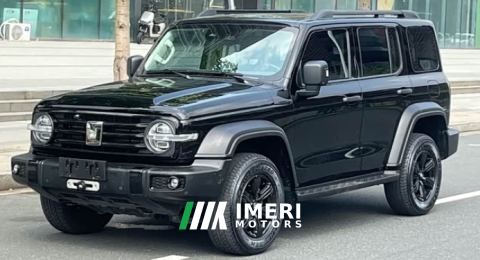 2021 Tank 300 Off-Road Edition 2.0T Conqueror - автомобиль из Китая