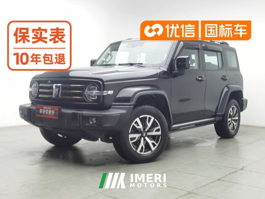 Tank 300 City Edition 2.0T Stylish - car from China