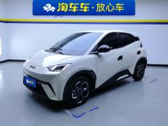 BYD Seagull 305km Free Version - photo 1
