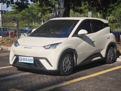 BYD Seagull 305km Vitality Edition - photo 1