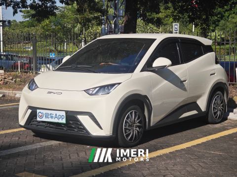 2023 BYD Seagull 305km Vitality Edition - ავტომობილი ჩინეთიდან