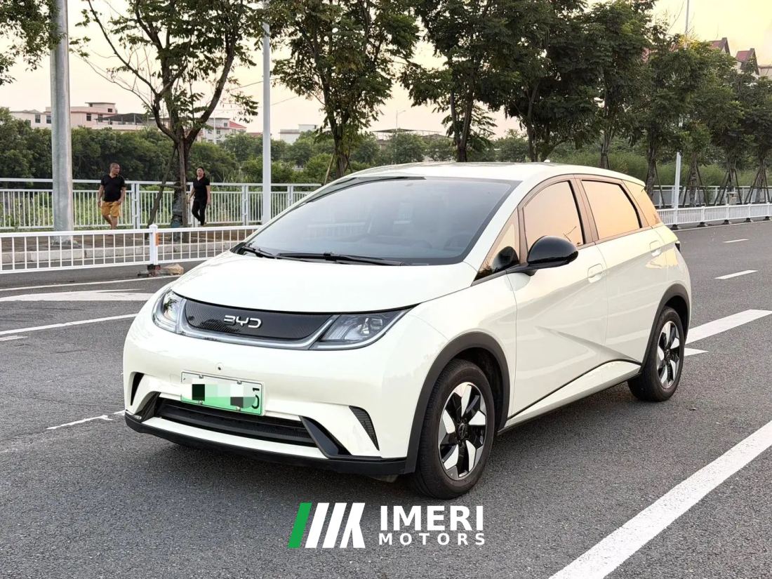 BYD Dolphin 420km Free Version - ავტომობილი ჩინეთიდან