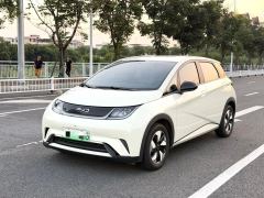 BYD Dolphin 420km Free Version - ფოტო 1