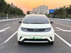 BYD Dolphin 420km Free Version - ფოტო 2