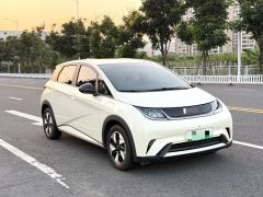 BYD Dolphin 420km Free Version - ფოტო 3