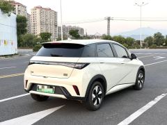 BYD Dolphin 420km Free Version - ფოტო 4