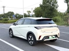 BYD Dolphin 420km Free Version - ფოტო 6