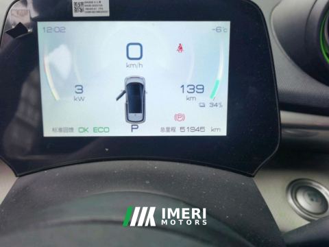 2021 BYD Dolphin 405km Stylish Edition - car from China